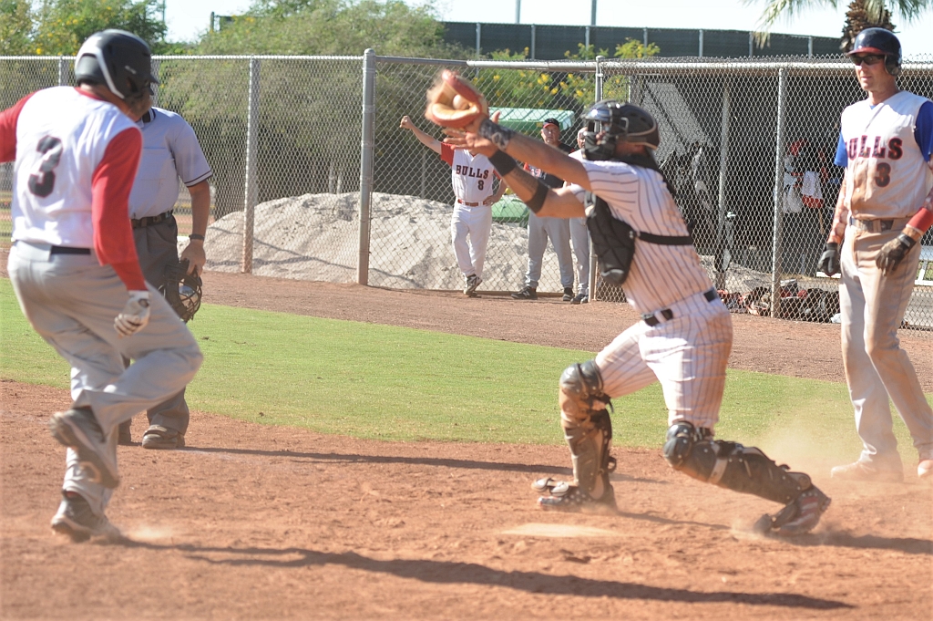 Seals_2019-10-09 (367).JPG - (c)2010 DeVetter